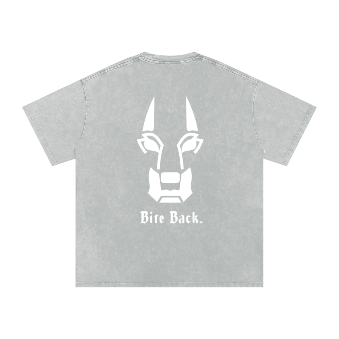 The Big Dog Oversized T Shirt White