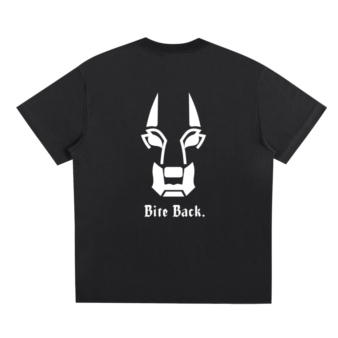 The Big Dog Regular Fit T Shirt White