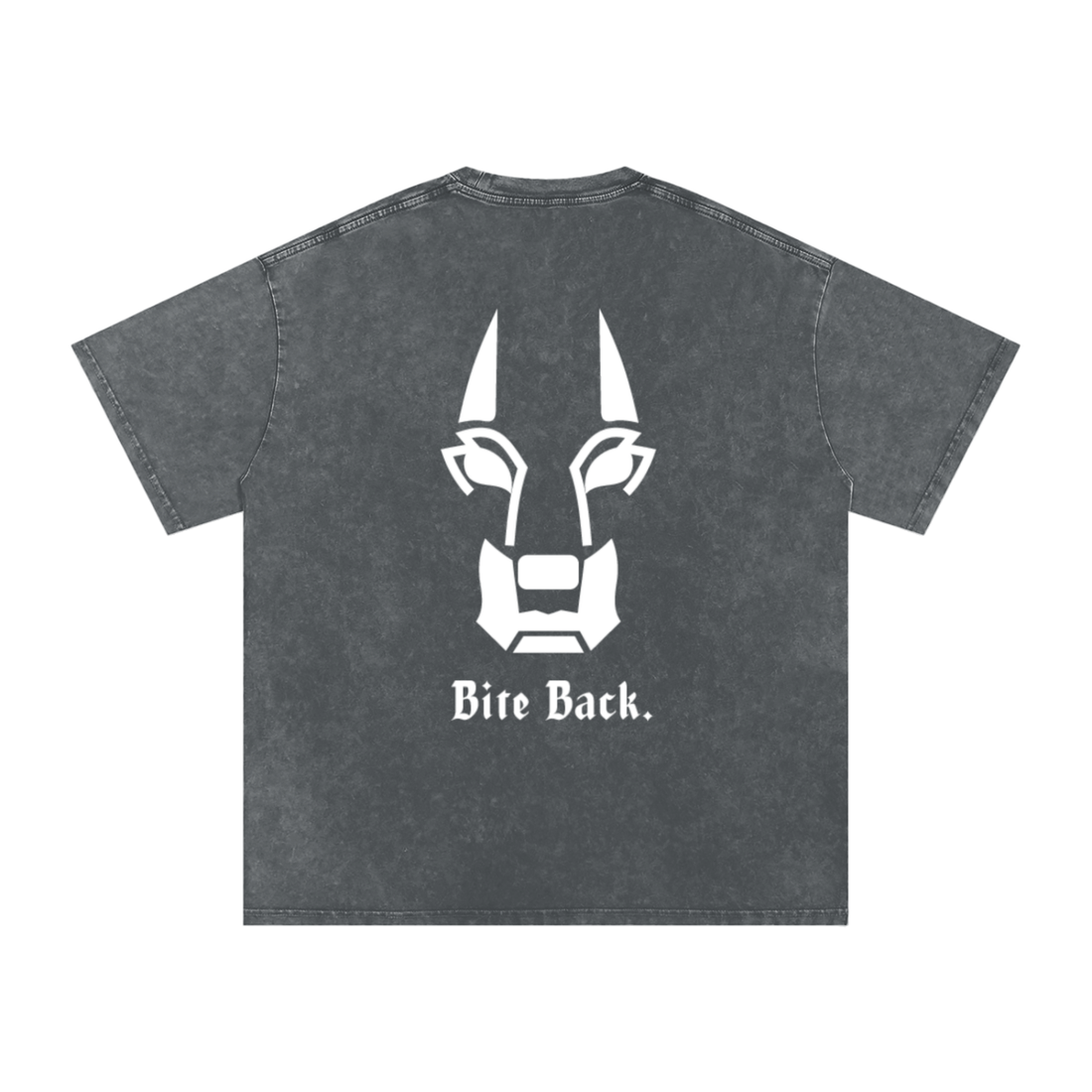The Big Dog Oversized T Shirt White